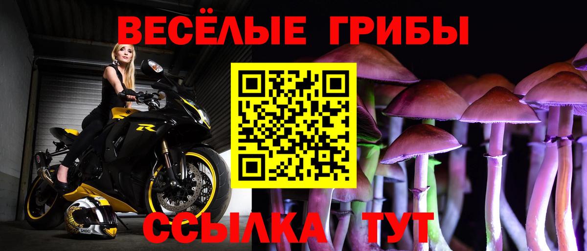 Знаменск  Псилоцибиновые грибы MAGIC MUSHROOMS  Галлюциногенные грибы MAGIC MUSHROOMS  Вход с VPN 